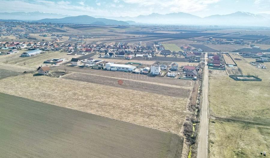 Teren Construcții extravilan de 14200 mp, în Bod
