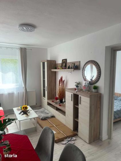 Apartament cu 2 camere în Cetate