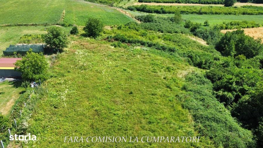 Teren de 7500 mp, în Râureni