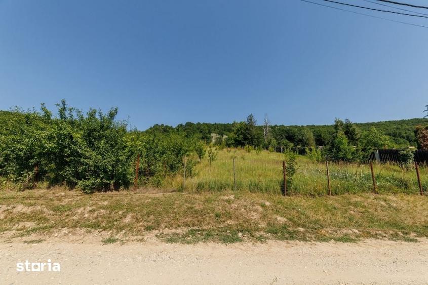 Teren de 1750 mp, în Ștefănești