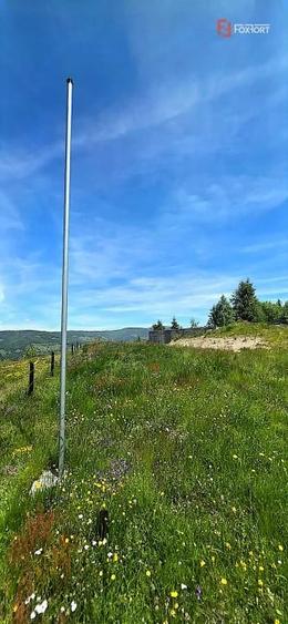 Teren de 5141 mp, în Costești (Albac)