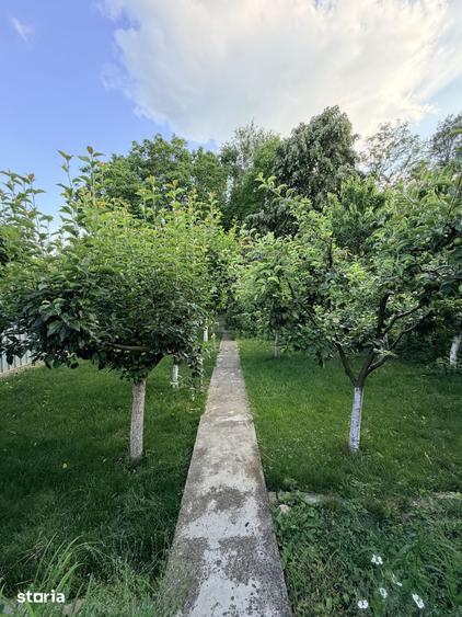 Casă cu 3 camere cu Teren 544 Mp în Domnești