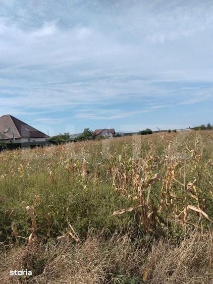 Teren de 5400 mp, în Ulmi