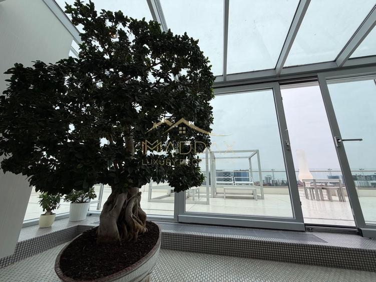 Penthouse cu 4 camere decomandat, mobilat în Floreasca
