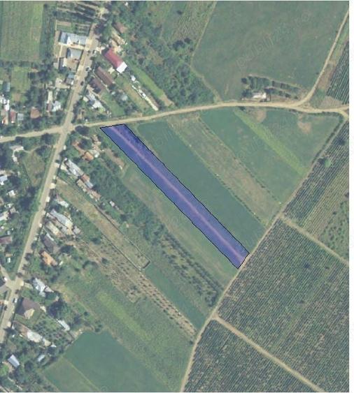 Teren de 3790 mp, în Podgoria