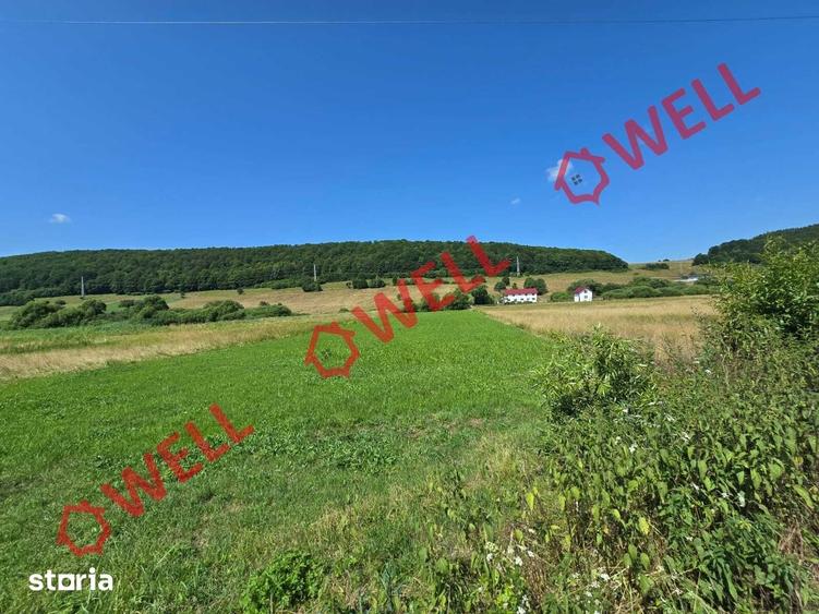 Teren de 3450 mp, în Valea Mare