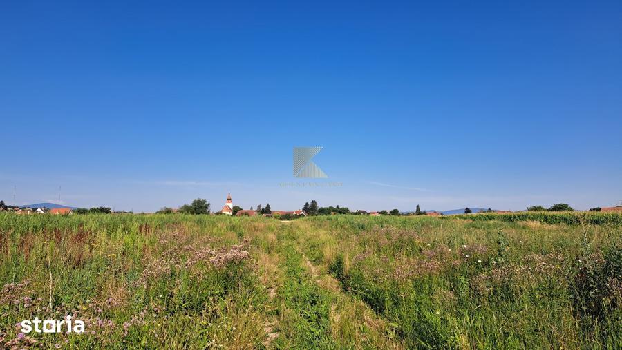 Teren de 20000 mp, în Bod