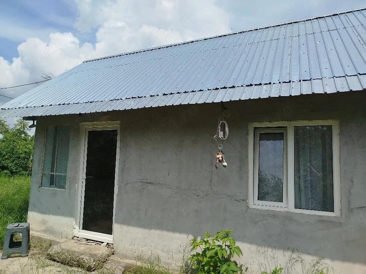 Casa buna si teren Malu Rosu Arma?e?ti jud. Ialomi?a - 2