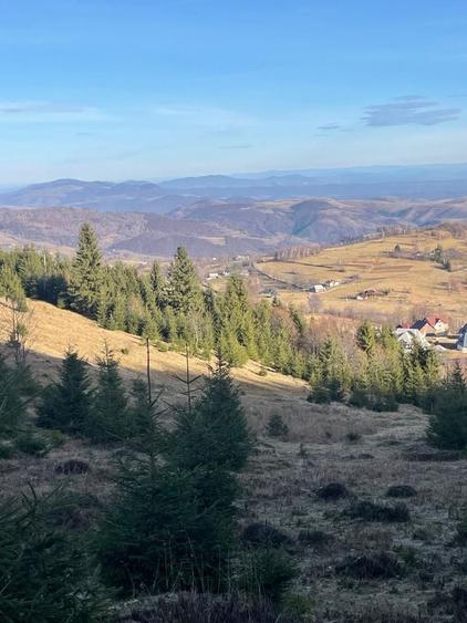Teren de 3617 mp, în Rogojel