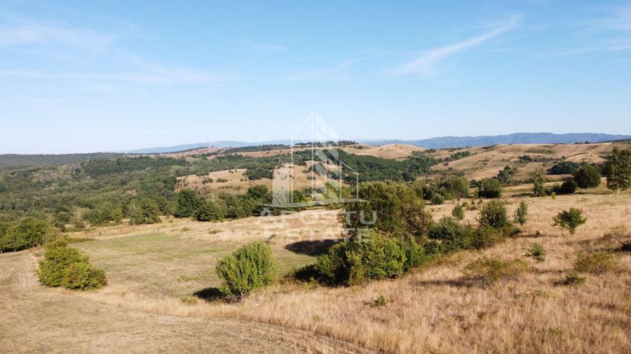 Teren agricol extravilan de 50000 mp, în Izvoarele