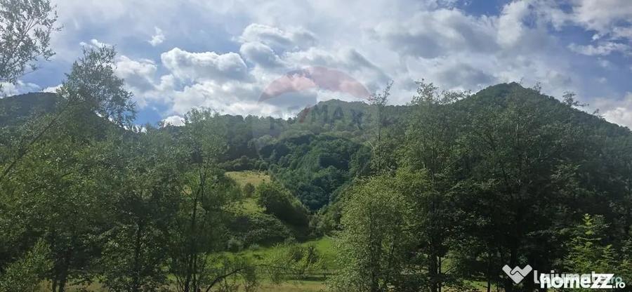 Teren în Râu Sadului