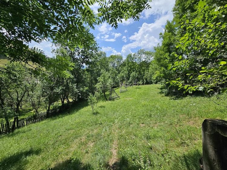 Teren de 1131 mp, în Trăisteni