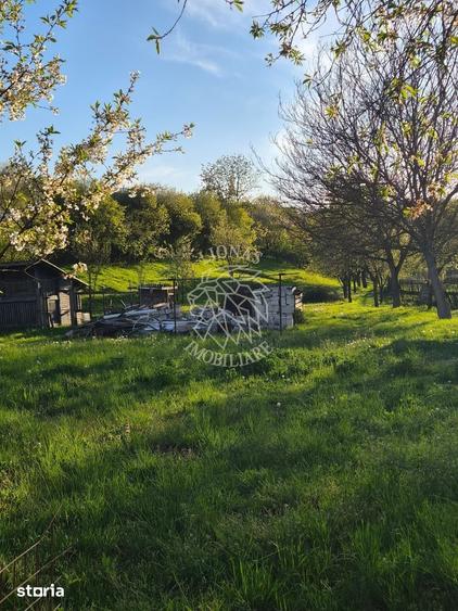 Teren de 1000 mp, în Șieu