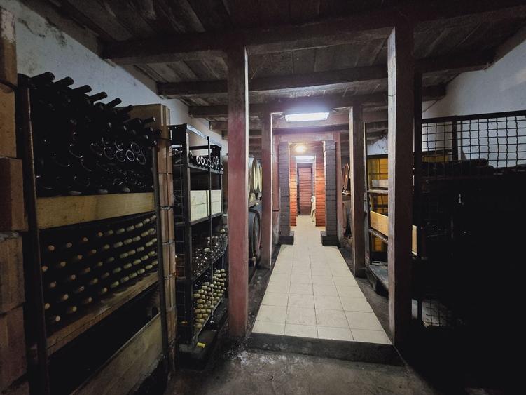 Teren agricol extravilan de 80000 mp, în Covăsinț