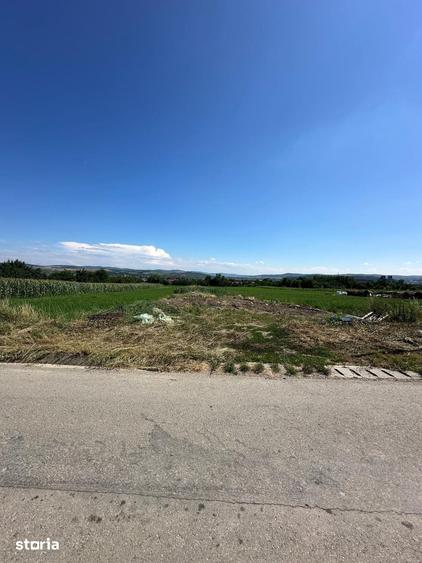Teren de 3000 mp, în Cuzdrioara