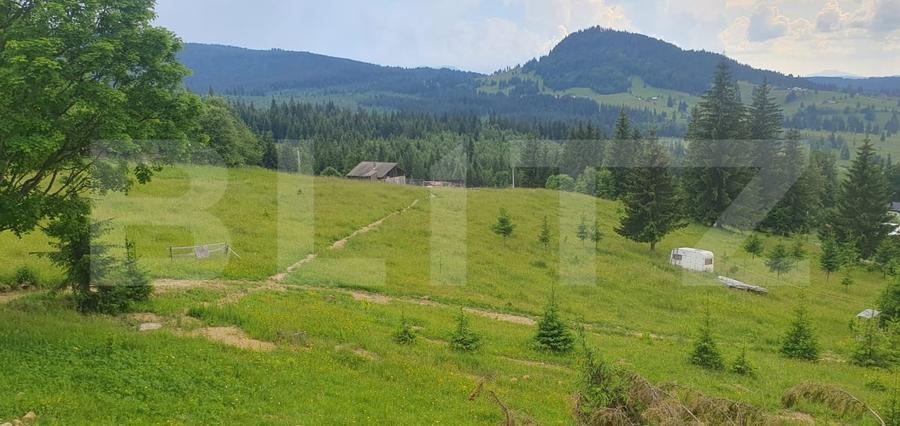 Teren Construcții extravilan de 19492 mp, în Vatra Dornei