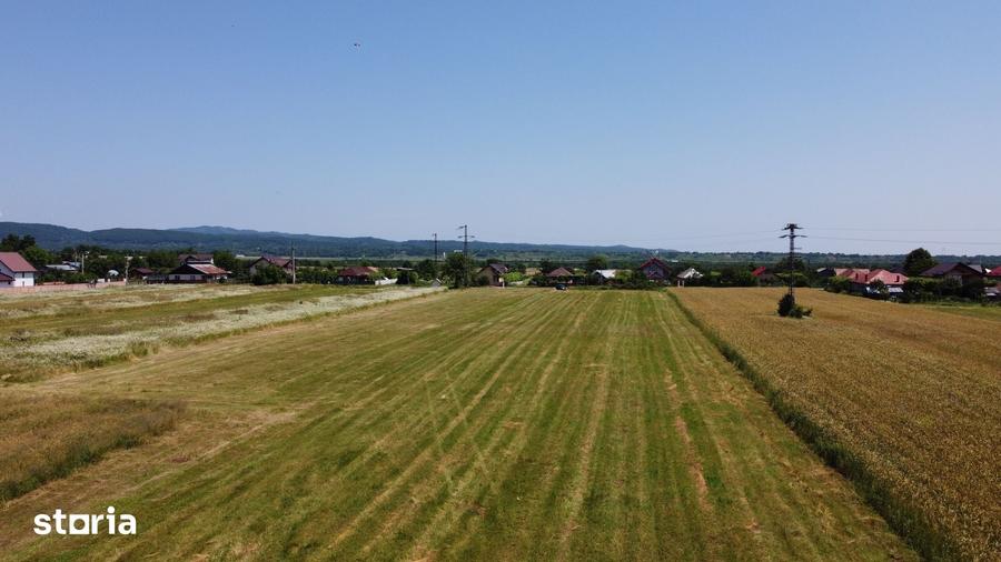 Teren de 5000 mp, în Măgureni