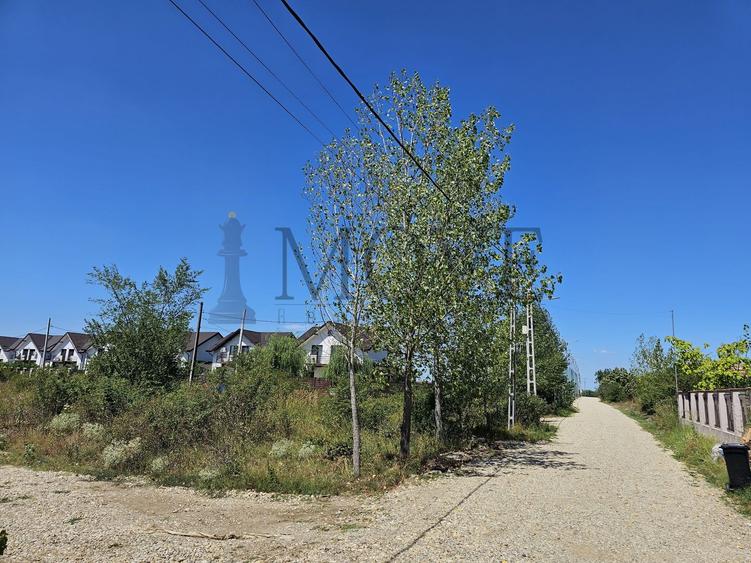 Teren Construcții intravilan de 347 mp, în Nord