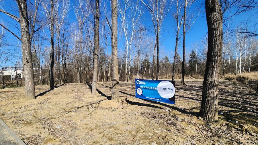 Teren 1667 MP | Zona Strand | Bulevard Dem Radulescu - 9