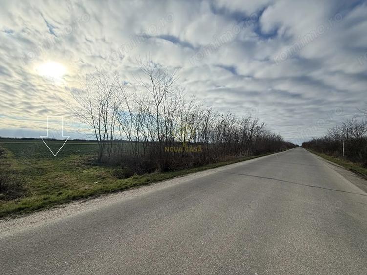 Teren de 6600 mp, în Lazuri