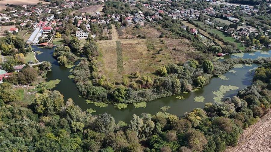Teren Construcții intravilan de 23761 mp, în Snagov