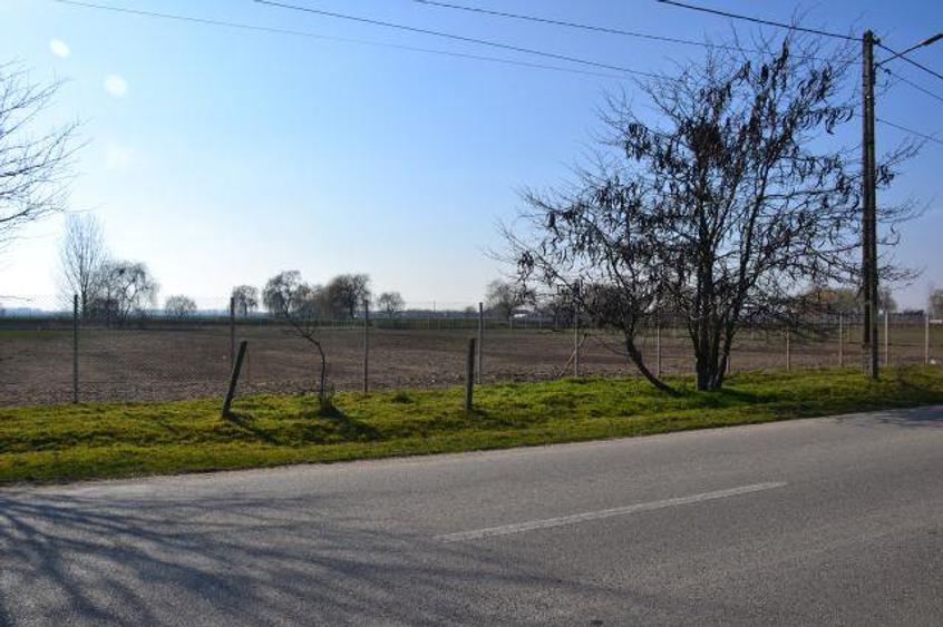 Teren intravilan de 5600 mp, în Mircea Vodă