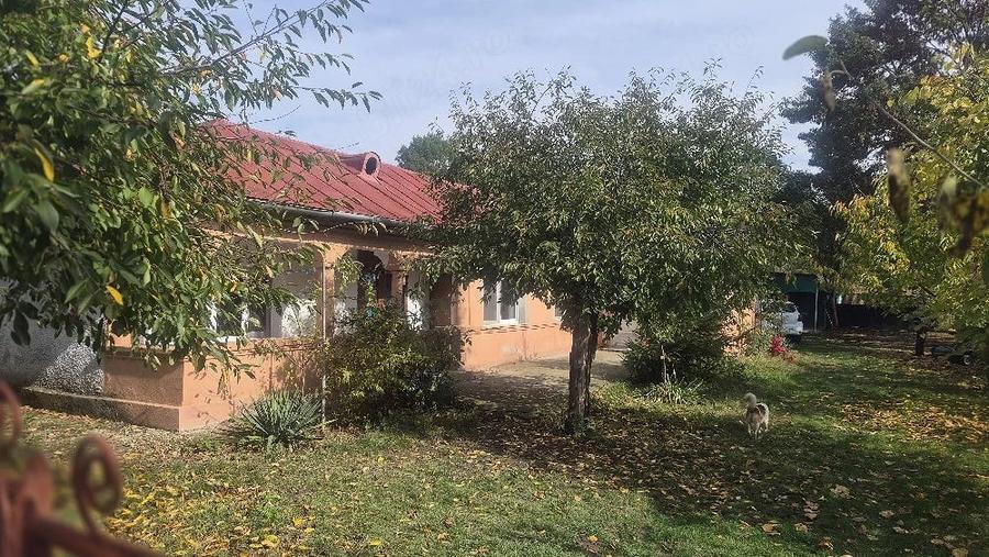 Teren de 4416 mp, în Trivalea-Moșteni