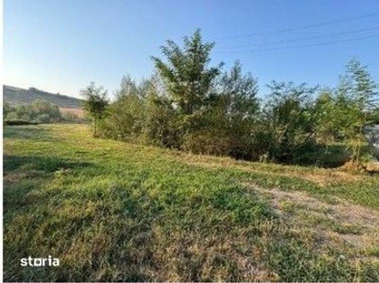 Teren de 2500 mp, în Roman