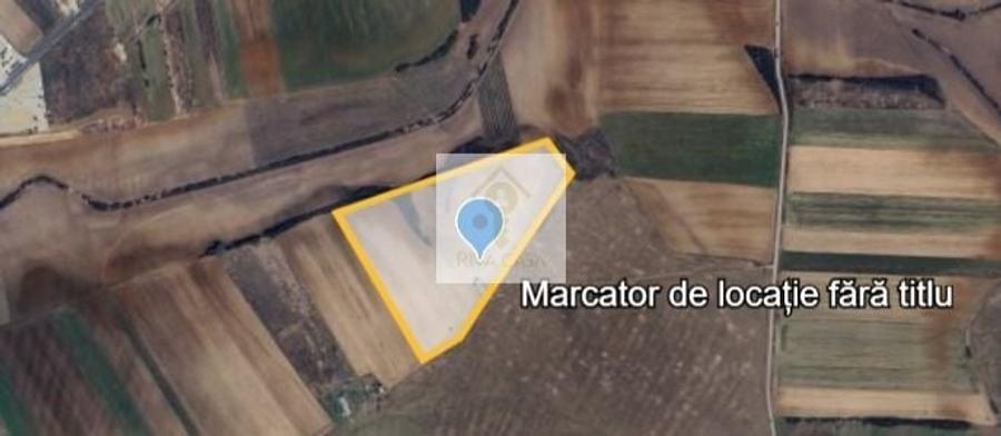 Teren agricol extravilan de 69150 mp, în Nojorid