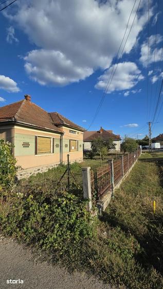 Casă cu 3 camere cu Teren 3000 Mp în Viile Satu Mare