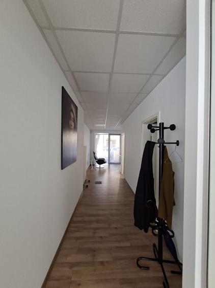 Birou, de 160.19000244141 mp, în Elisabetin