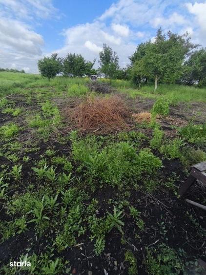 Casă cu 4 camere cu Teren 6000 Mp în Bălcăuți