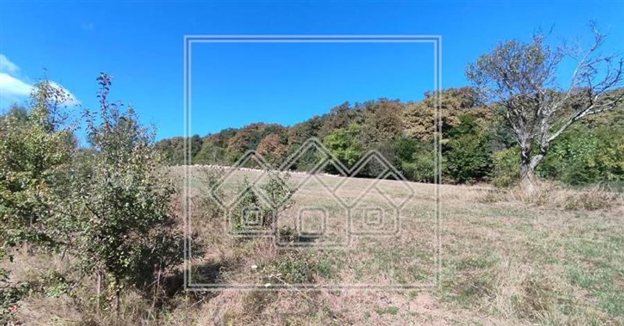 Teren agricol intravilan de 8300 mp, în Aeroport