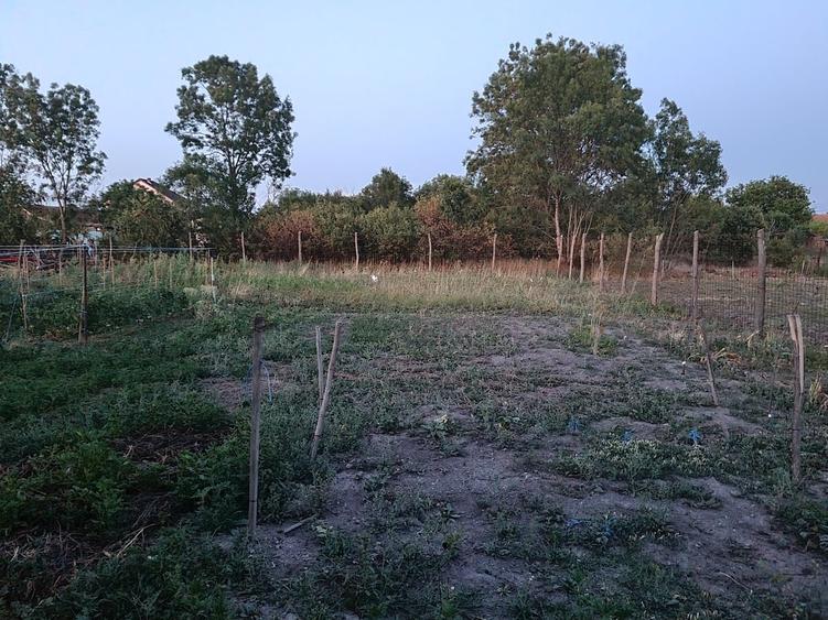 Casă cu 4 camere cu Teren 335 Mp în Central