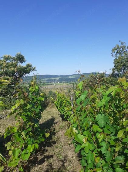 Casă cu Teren 950 Mp în Valea Nucului