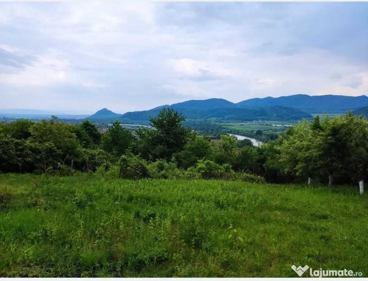 Teren de 1550 mp, în Șoimuș