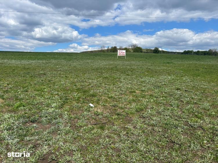Teren de 980 mp, în Dâmbul Rotund