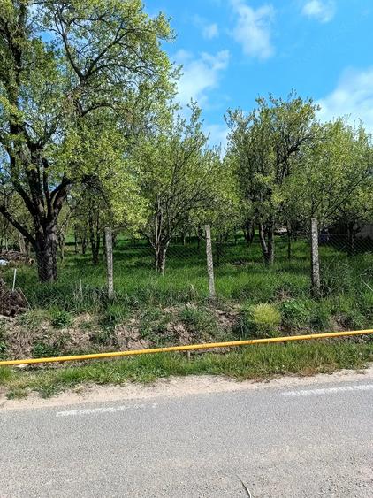Teren de 2280 mp, în Rediu