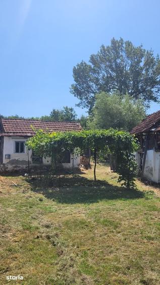 Teren de 1900 mp, în Fârtățești