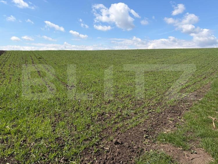 Teren agricol extravilan de 3900 mp, în Periferie