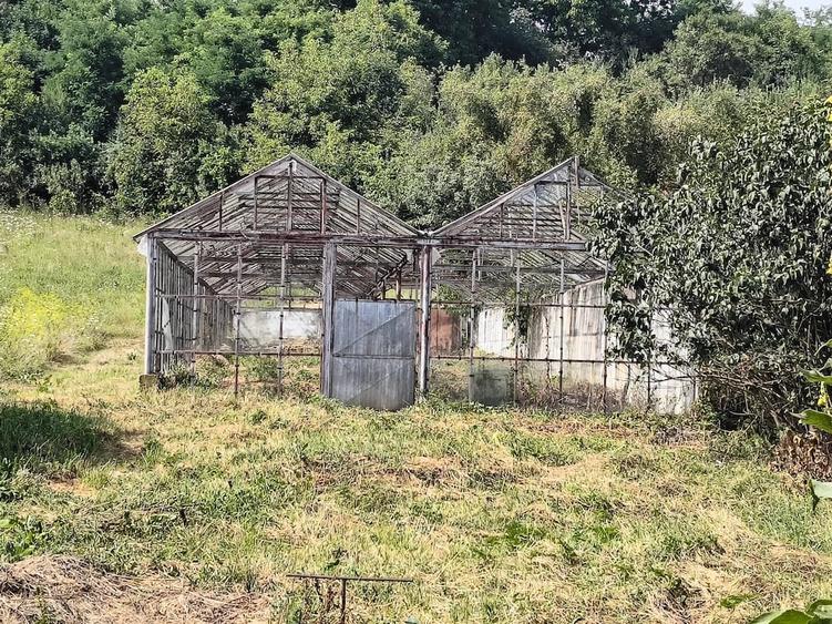 Casă cu 4 camere cu Teren 4000 Mp în Țaga