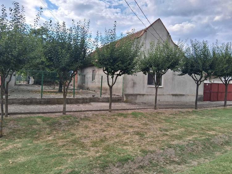 Casa de vanzare in Pustinis - 6