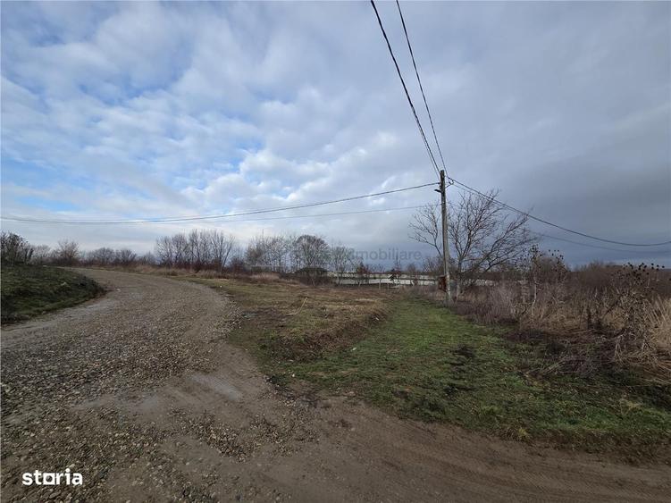 Teren intravilan,dublu front,Paleu,Oradea,Bihor - 4
