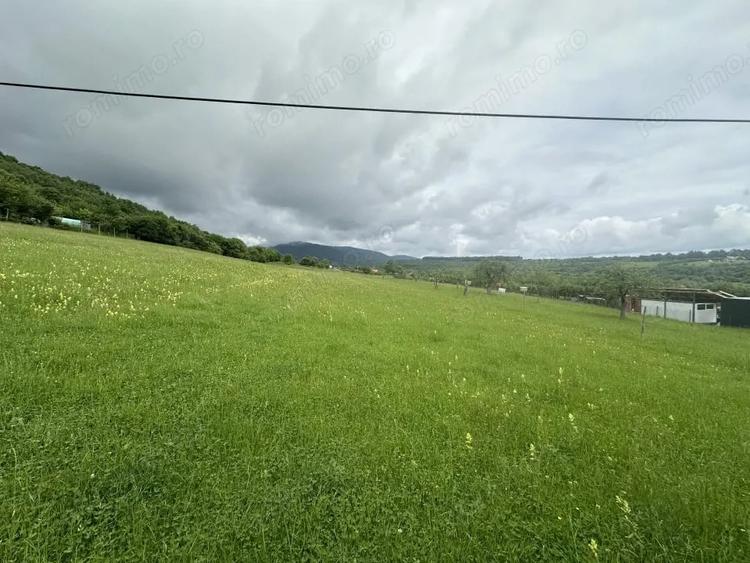 Teren de 2000 mp, în Fântânele