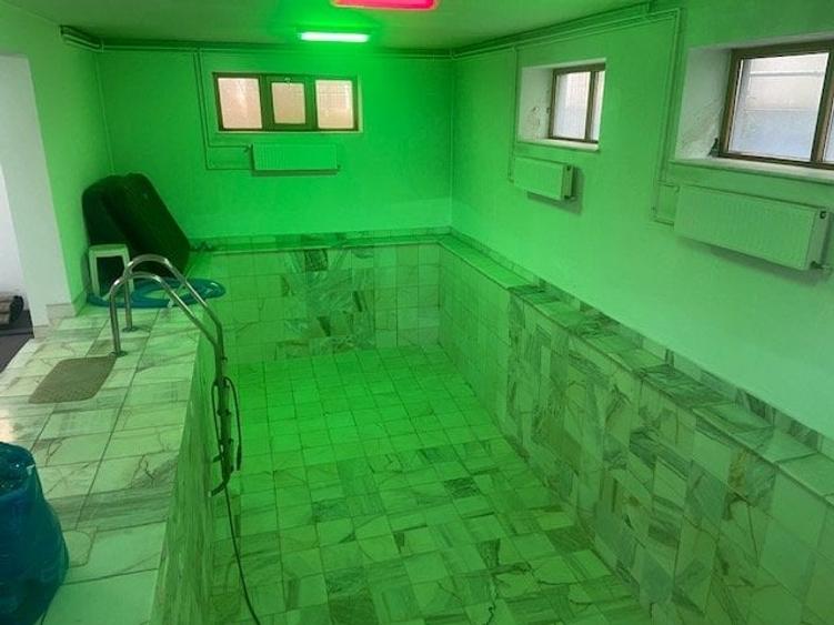 Casă individuală cu 10 camere cu Piscina în Șura Mare