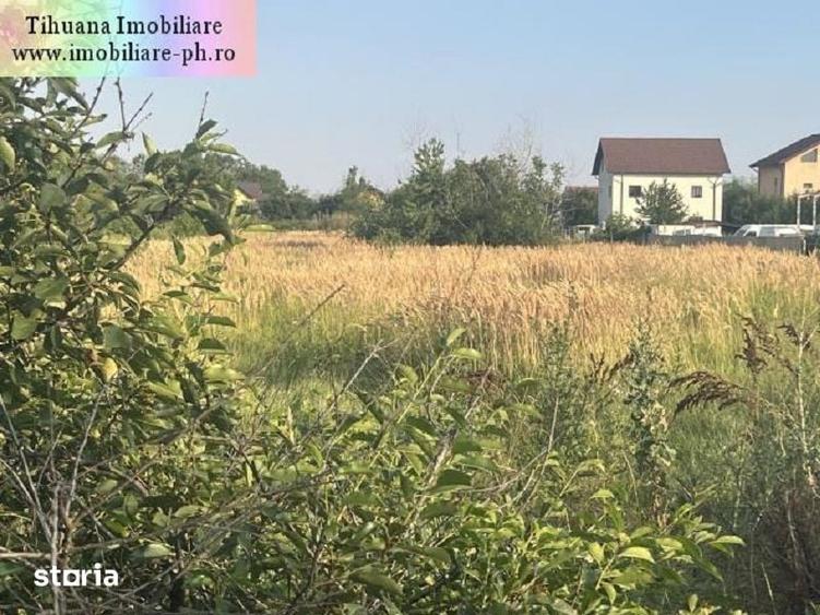 Teren de vanzare : Blejoi-(sat Ploiestiori) - 2