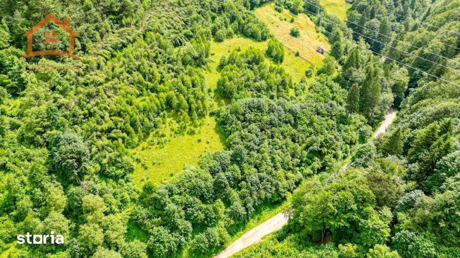 Investitie Smart in Moieciu, 3.1 ha, Panorama 360 Bucegi - Piatra Crai - 7