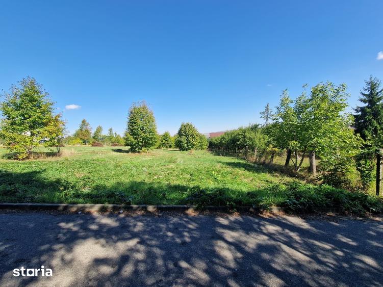 Teren de 3251 mp, în Fălticeni