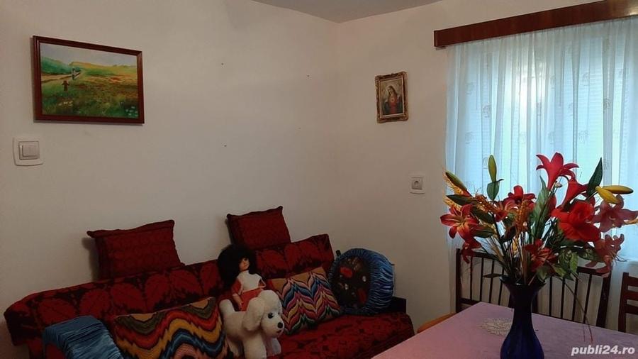 Casă cu 2 camere în Chețani