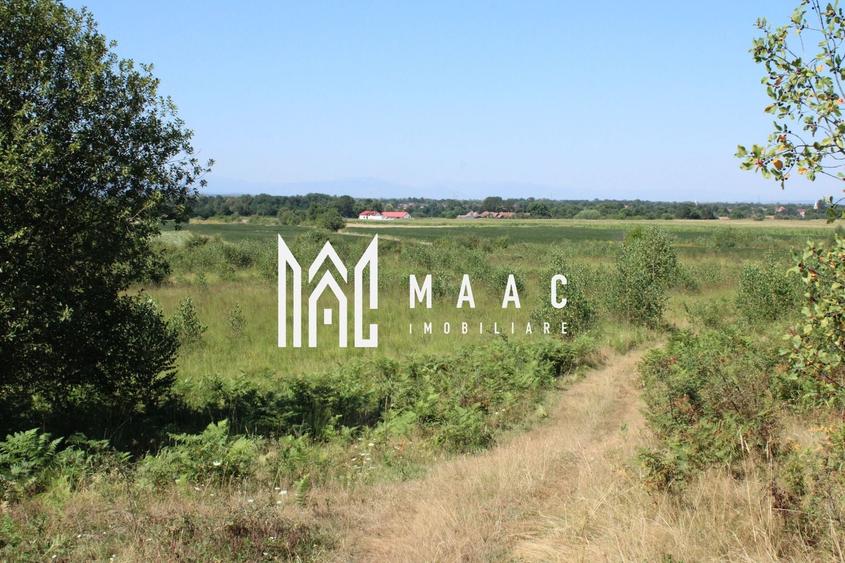 Teren agricol extravilan de 3100 mp, în Arpașu de Sus